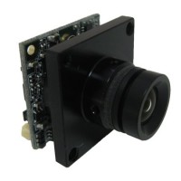 480 TVL, 26 x 26mm Board, w/ Filter, w/o Lens Mount - PAL